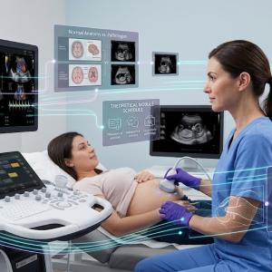 Theoretical OB\GYN Ultrasound Professional Program